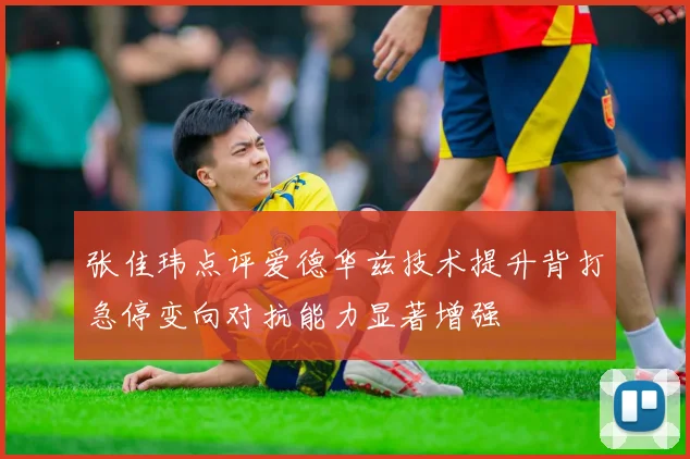 张佳玮点评爱德华兹技术提升背打急停变向对抗能力显著增强